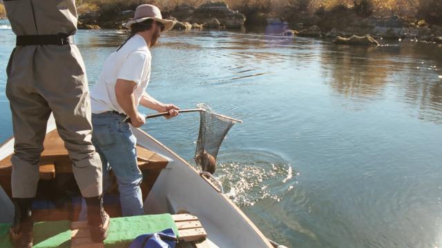 gal/Fishing 1/Large0001.jpg